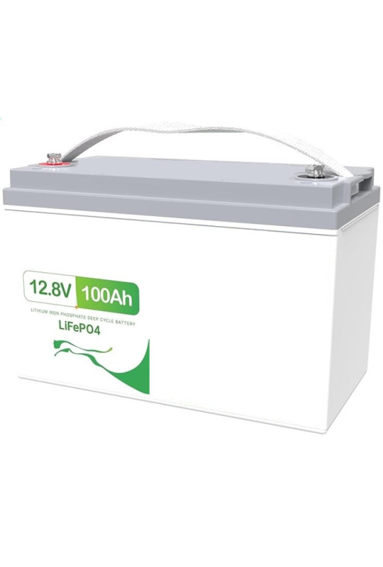 Bateria de lítio LiFePO4 12 V 100 Ah